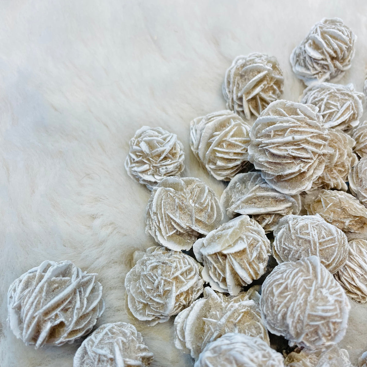 Desert Rose Tumble