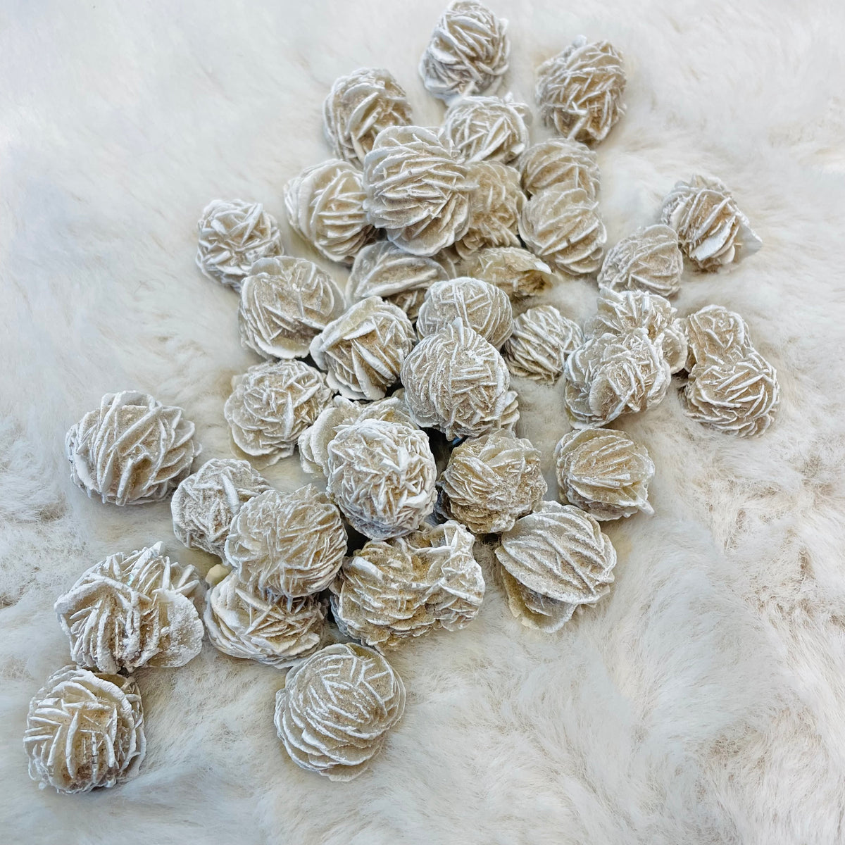 Desert Rose Tumble