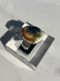 Shiva Eye Shell Ring #5 - US 9.5