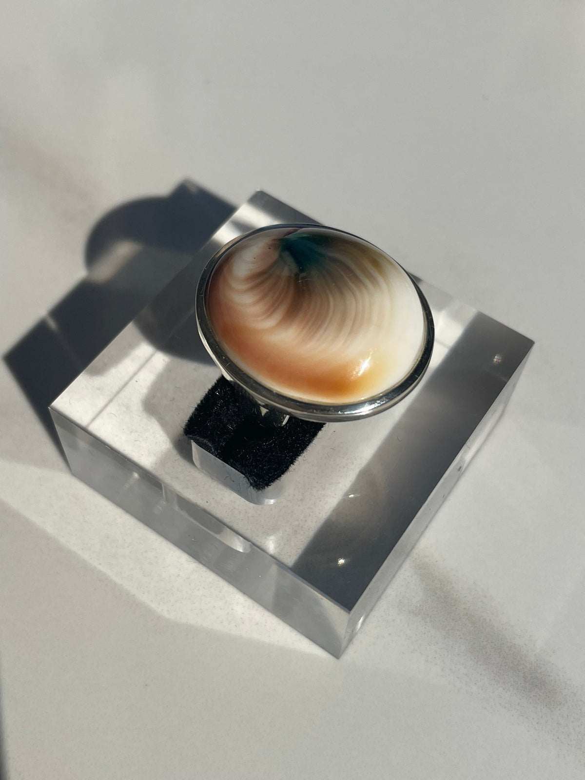 Shiva Eye Shell Ring #2 - US 6