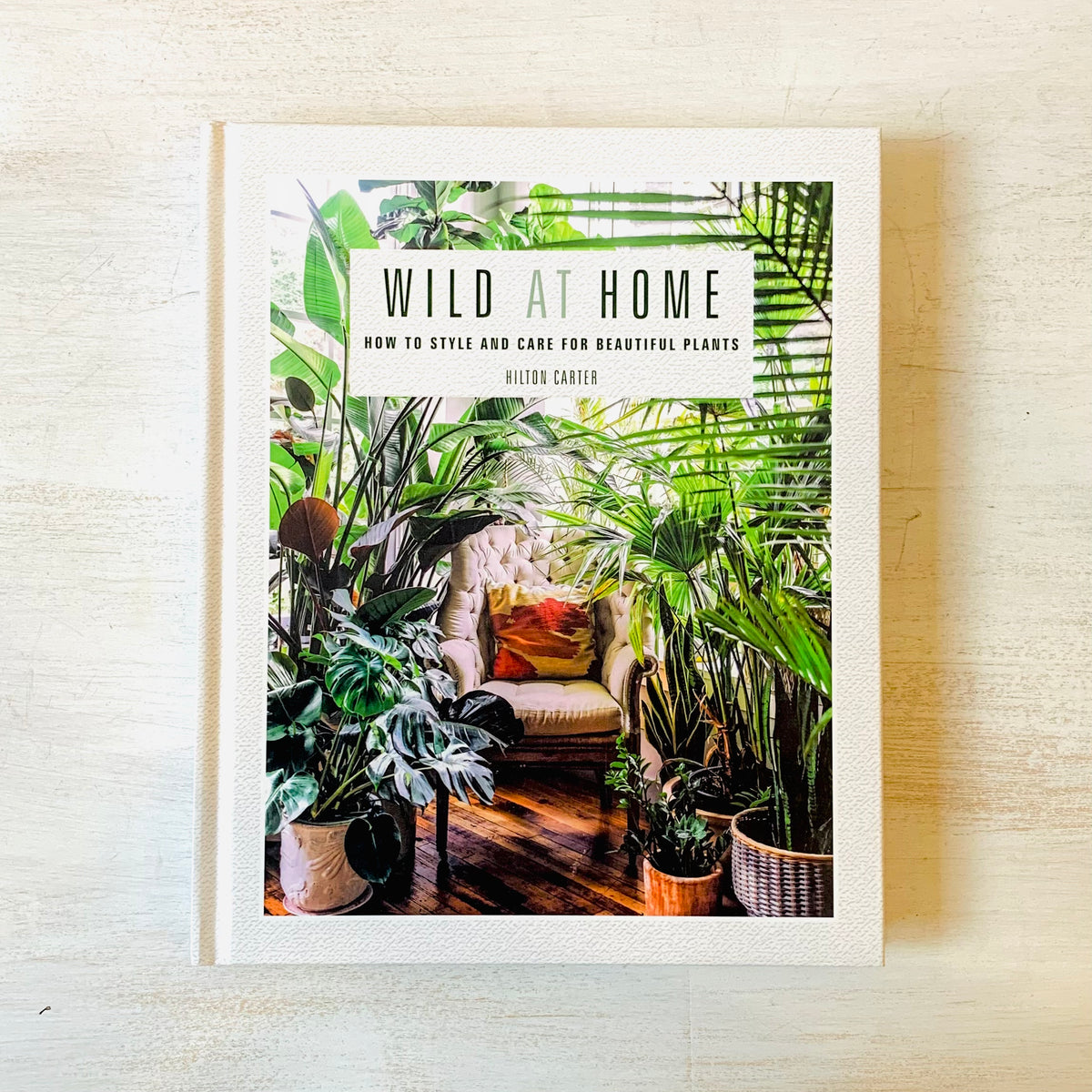 Wild At Home: How to Style and Care for Beautiful Plants