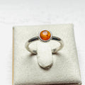 Amber Small Round Bezel-Set Ring - US 5.5
