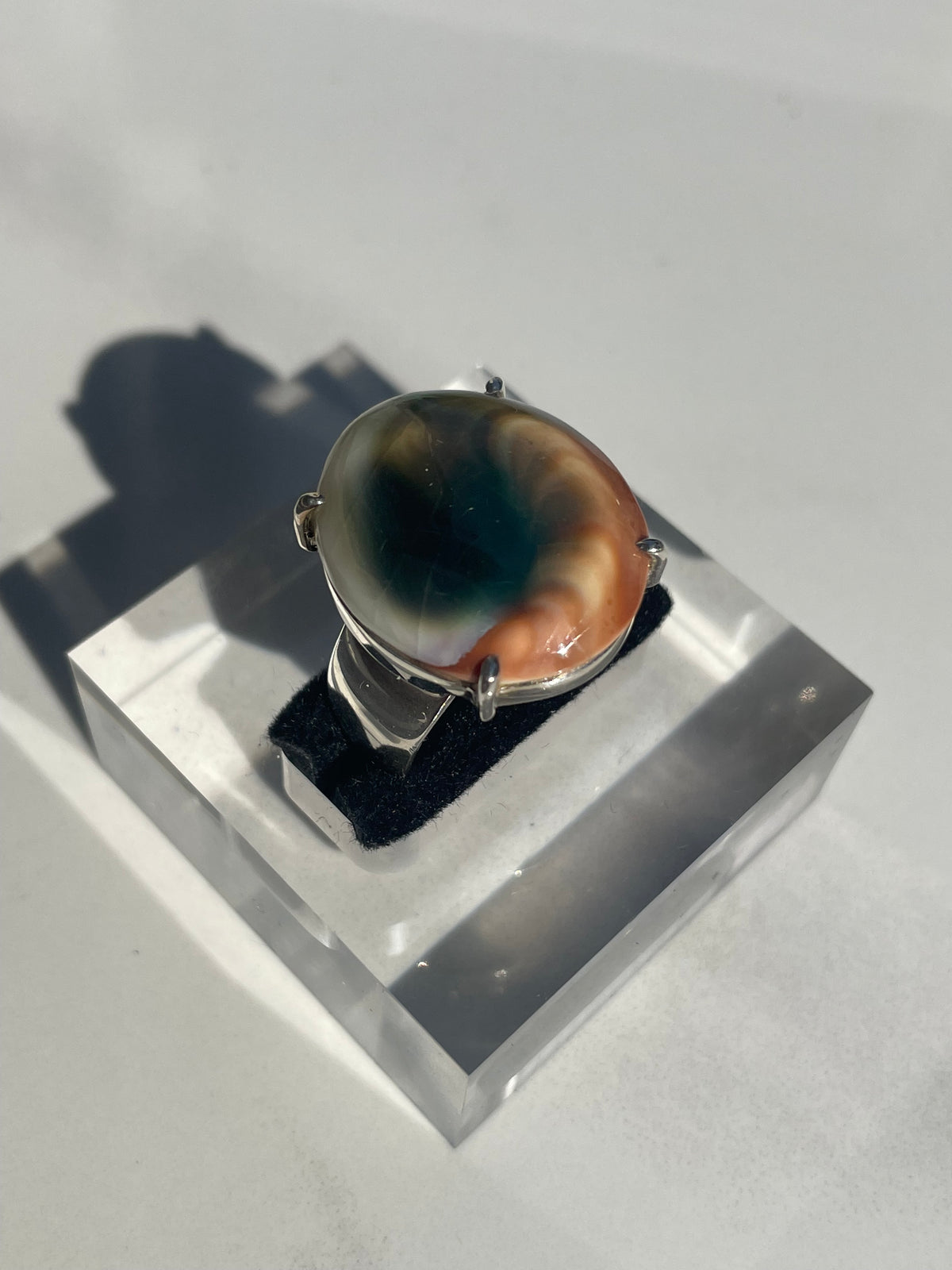 Shiva Eye Shell Ring #5 - US 9.5