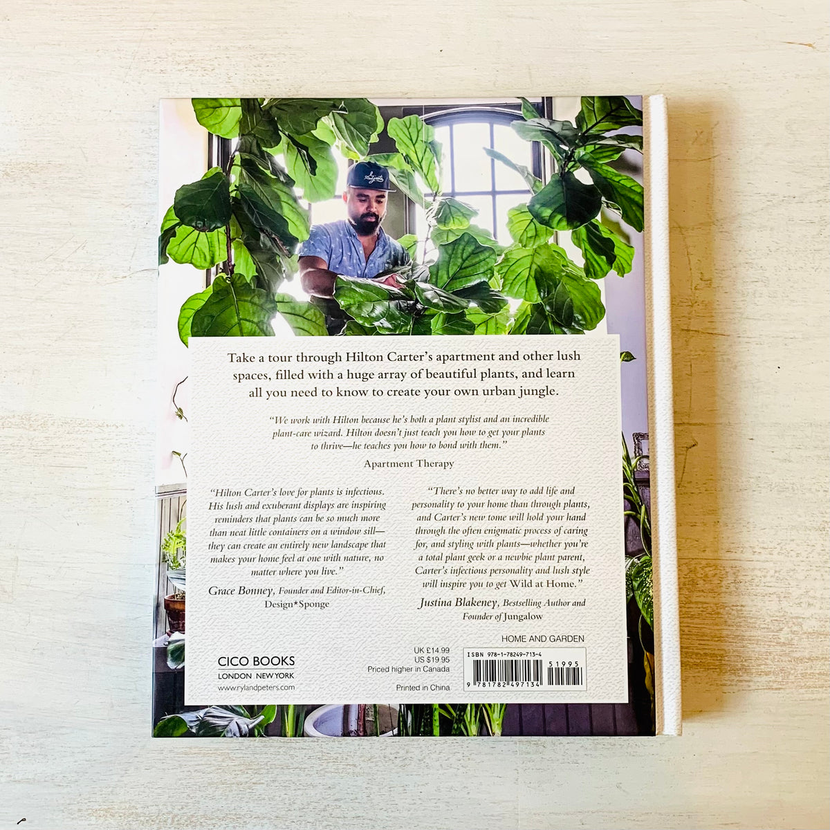 Wild At Home: How to Style and Care for Beautiful Plants