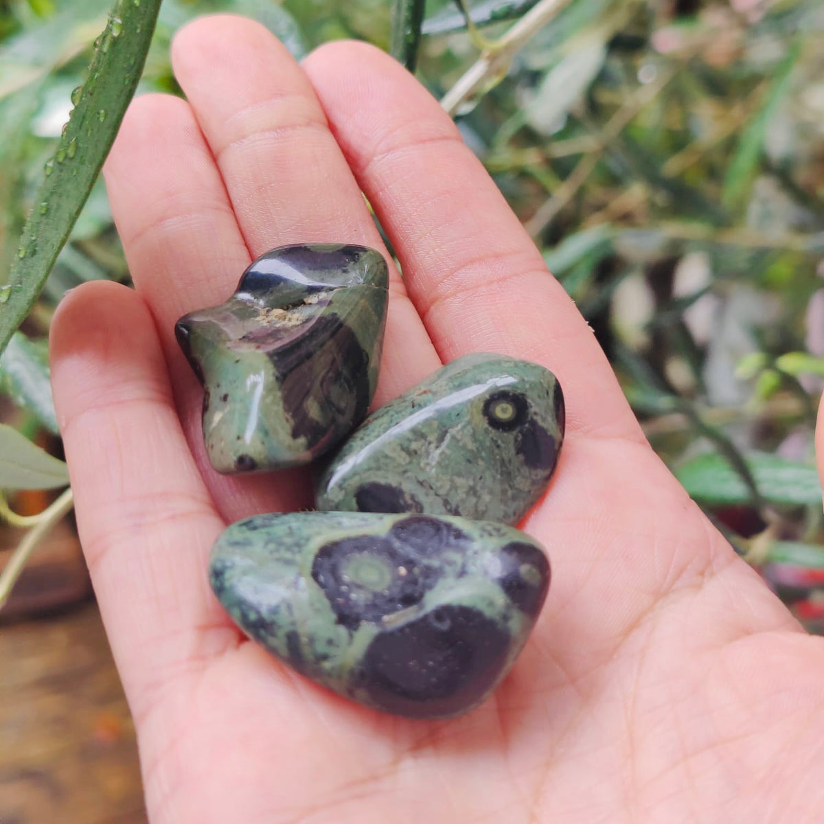 Kambaba Jasper Tumblestone